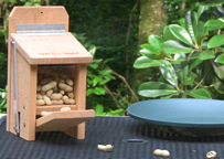 Peanut Box with Peanuts